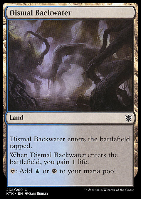 Dismal Backwater